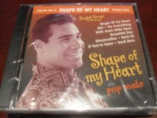 POCKET SONGS KARAOKE DISC PSCDG 1520 SHAPE OF MY HEART POP MALE CD G MULTIPLEX