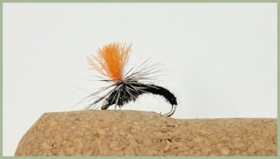Mosche da trota Klinkhammer, confezione da 6, Klinkhamers beige, Grayling Alsd, All Mixed