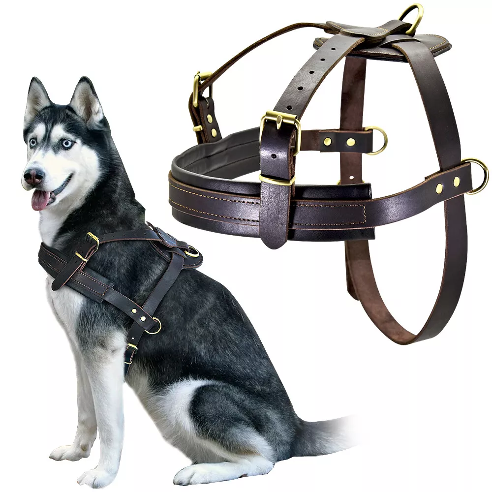 Leather Large Dog Harness Dog Pet Weight Pulling Harness Ski Sled Brown  Pitbull