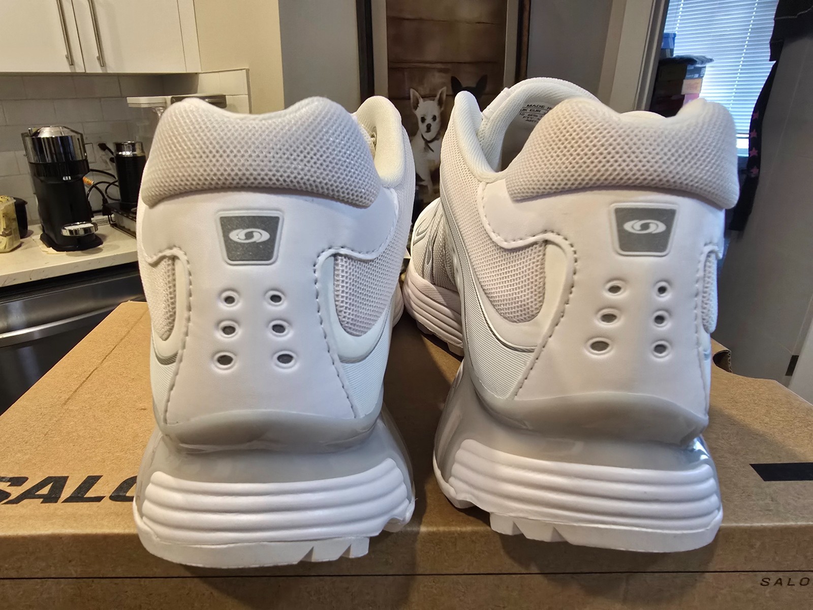 Salomon XT-Whisper White Lunar Rock Footwear Silver Men's Size 10 L47761900 NEW