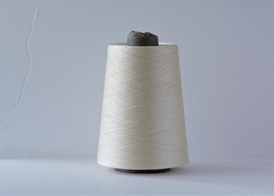 Botto Poala  100% Silk 2/120x2  Col. Ivory 303 g Italy