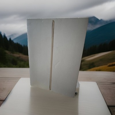Apple iPad Air 2 16GB, WLAN + Cellular (Entsperrt), 24,64 cm, (9,7 Zoll) - Gold