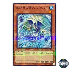 Blizzed, Defender of the Ice Barrier P-N TW01-JP005 TERMINAL WORLD Yu-Gi-Oh! JP