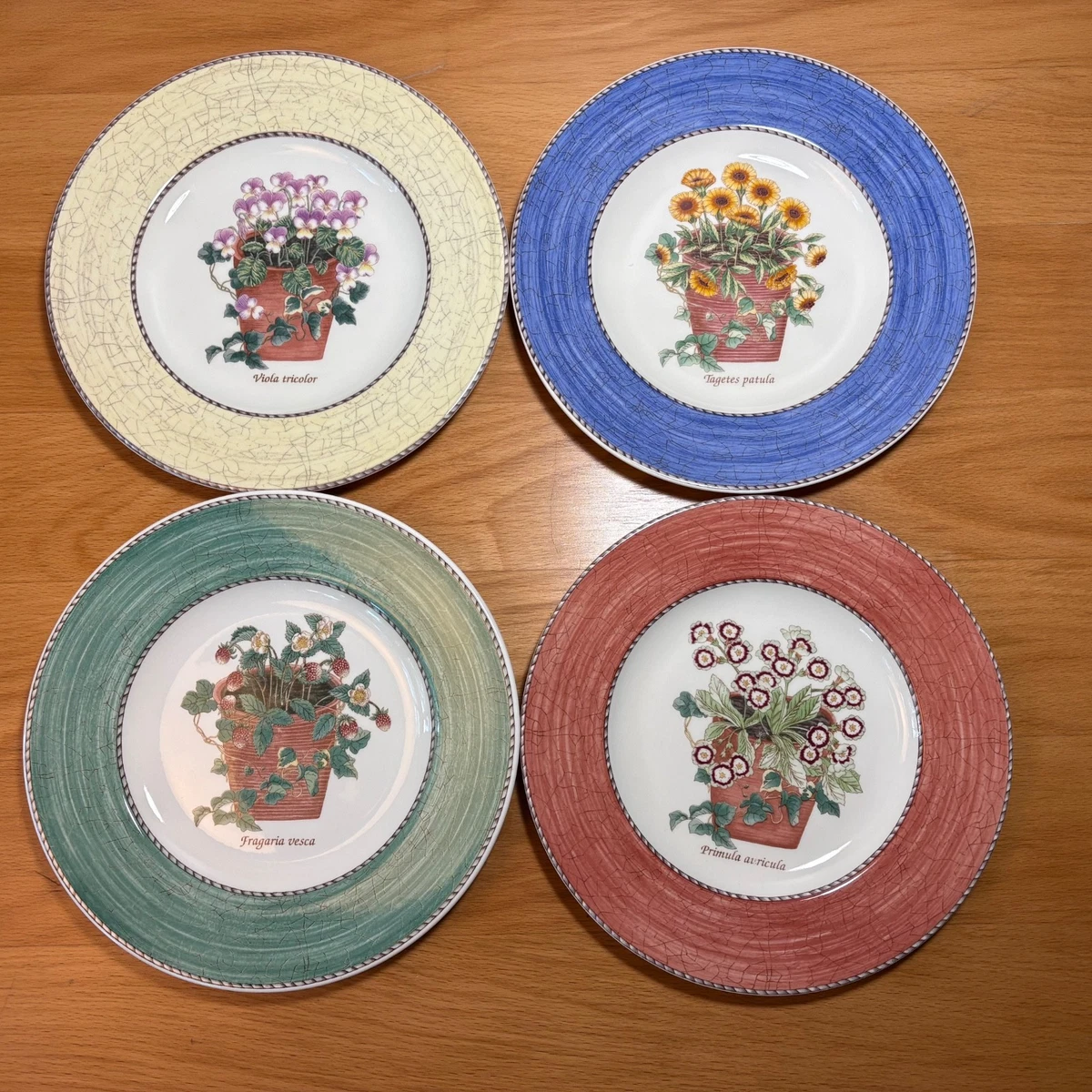 Sarah S Garden for sale | eBay