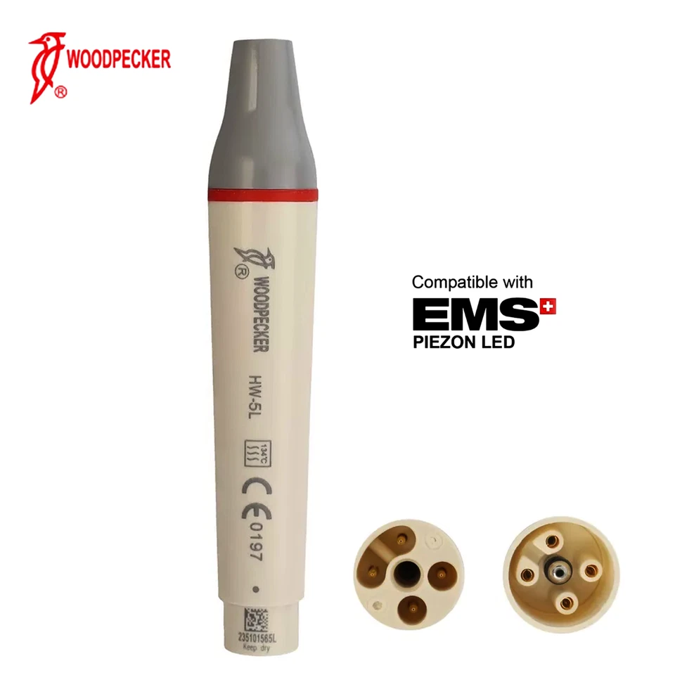 Woodpecker Dental Ultrasonic Scaler Handpiece HW-5L Tips Scaling Endo Perio EMS - Image 2 of 4