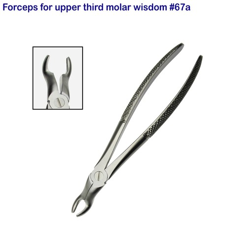 Fórceps de extracción dental para cirugía dental oral para sabiduría