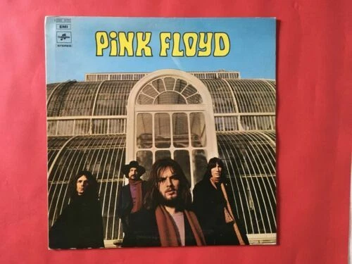 Vinili Pink Floyd dimensione LP (12 pollici)
