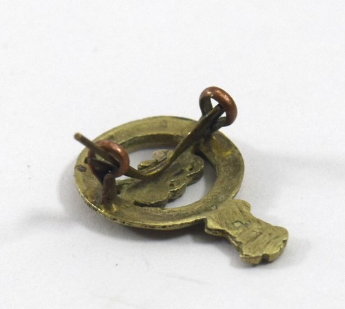 Stara vintage broszka rządu indyjskiego piękna odznaka kolekcjonerska G29-129 - Zdjęcie 4 z 8