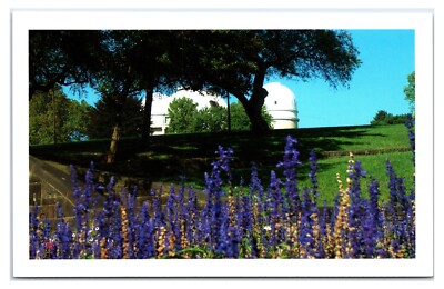 Vintage 1990s - Riverview Park - Pittsburgh, Pennsylvania Postcard (UnPosted)
