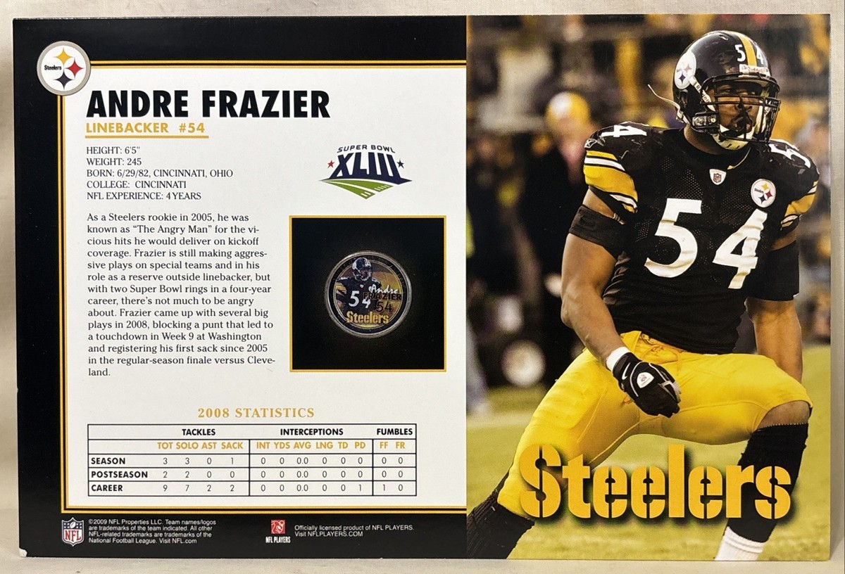 Andre Frazier Pittsburgh Steelers Super Bowl XLIII Painted Quarter