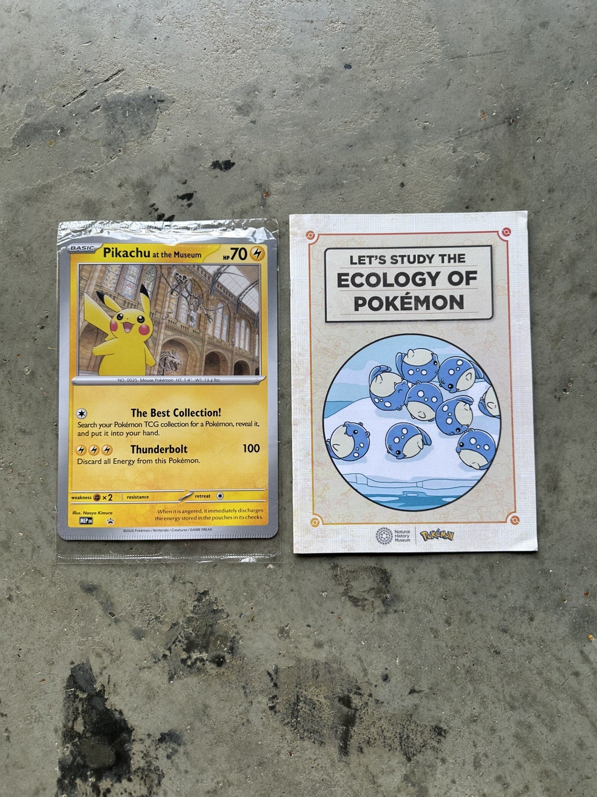 Pikachu at the Museum + Ecology of Pokemon Booklet - Natural History Museum