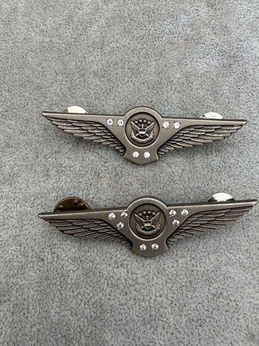 2 Vintage United Airlines Flight Attendant Service Time Wings Pewter Pins jb2
