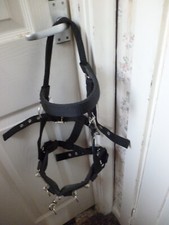 NEW FULL SIZE Padded Nylon Lunge Cavesson QUICK RELEASE CHIN STRAP HAS CLIP