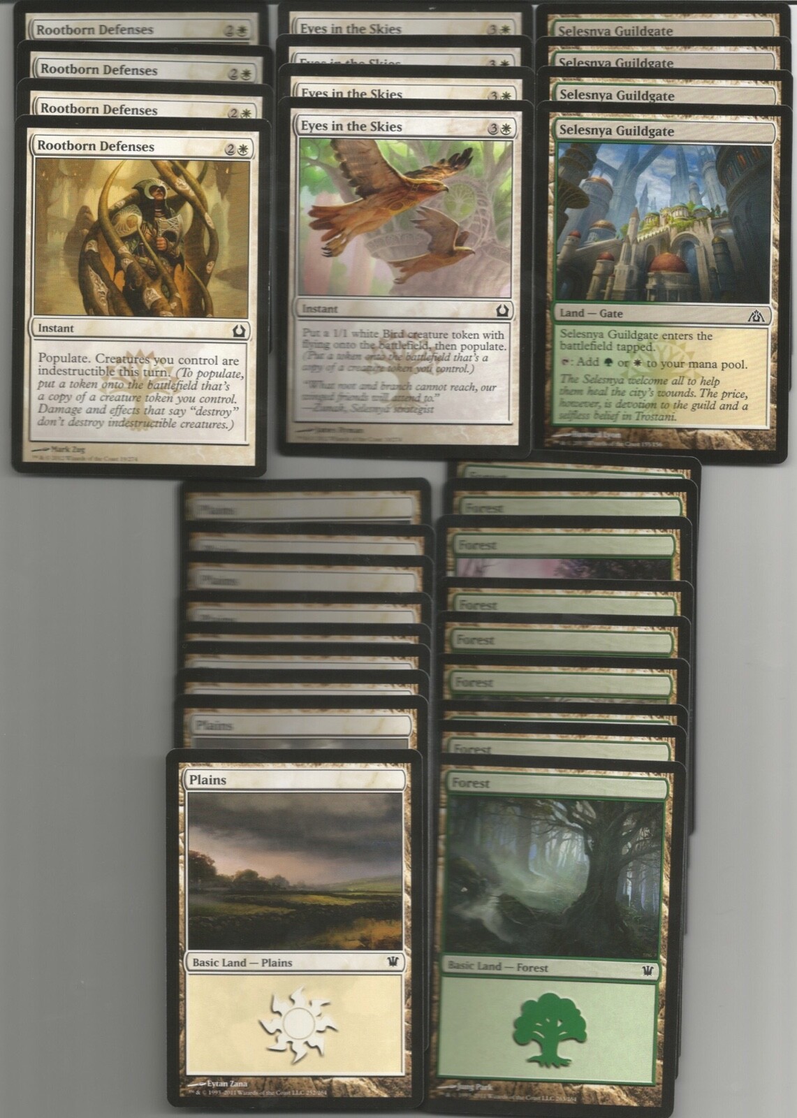 Foto 3 di 3