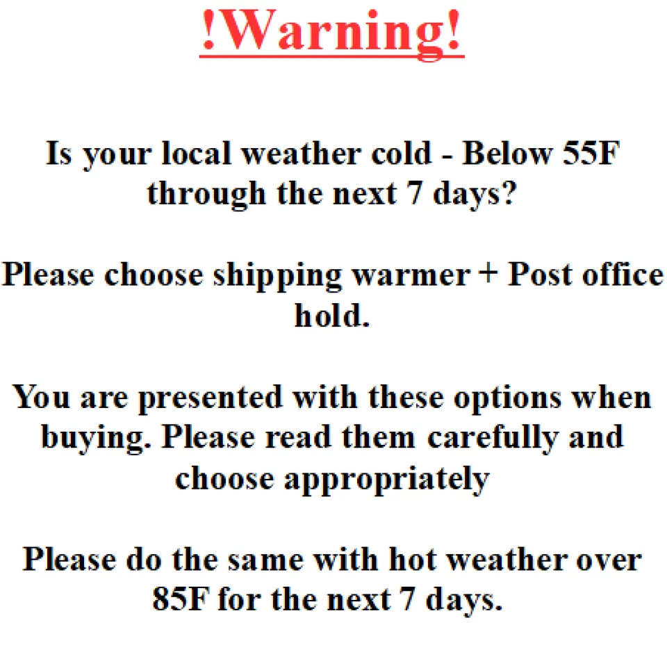 Escarabajos Dermestidos 1500+ con Adultos y Larva y Huevos - Equipo de Limpieza / Taxidermia Foto 4 de 4