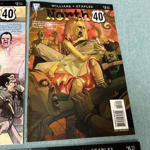 JUEGO COMPLETO DE CÓMICS NORTH 40 1-6 WILDSTORM 2009 AARON WILLIAMS - Imagen 5 de 14