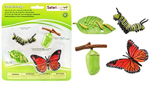 Safari Ltd- Life Cycle of A Monarch Butterfly, Colore Monarchfalter, (u0F)