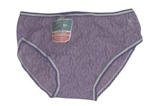 Plymouth Undies Hip Hugger Stretch Purple Lace Sheer Nylon Bikini Panties NWT