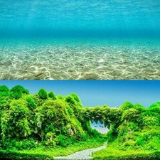 Jubmach Premium Aquarium Poster 18" x 36" inch