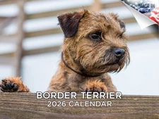 Border Terrier Dog Breed Calendar 2026 12x18 Made in USA