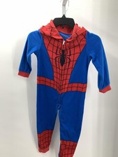 HOODED SPIDERMAN