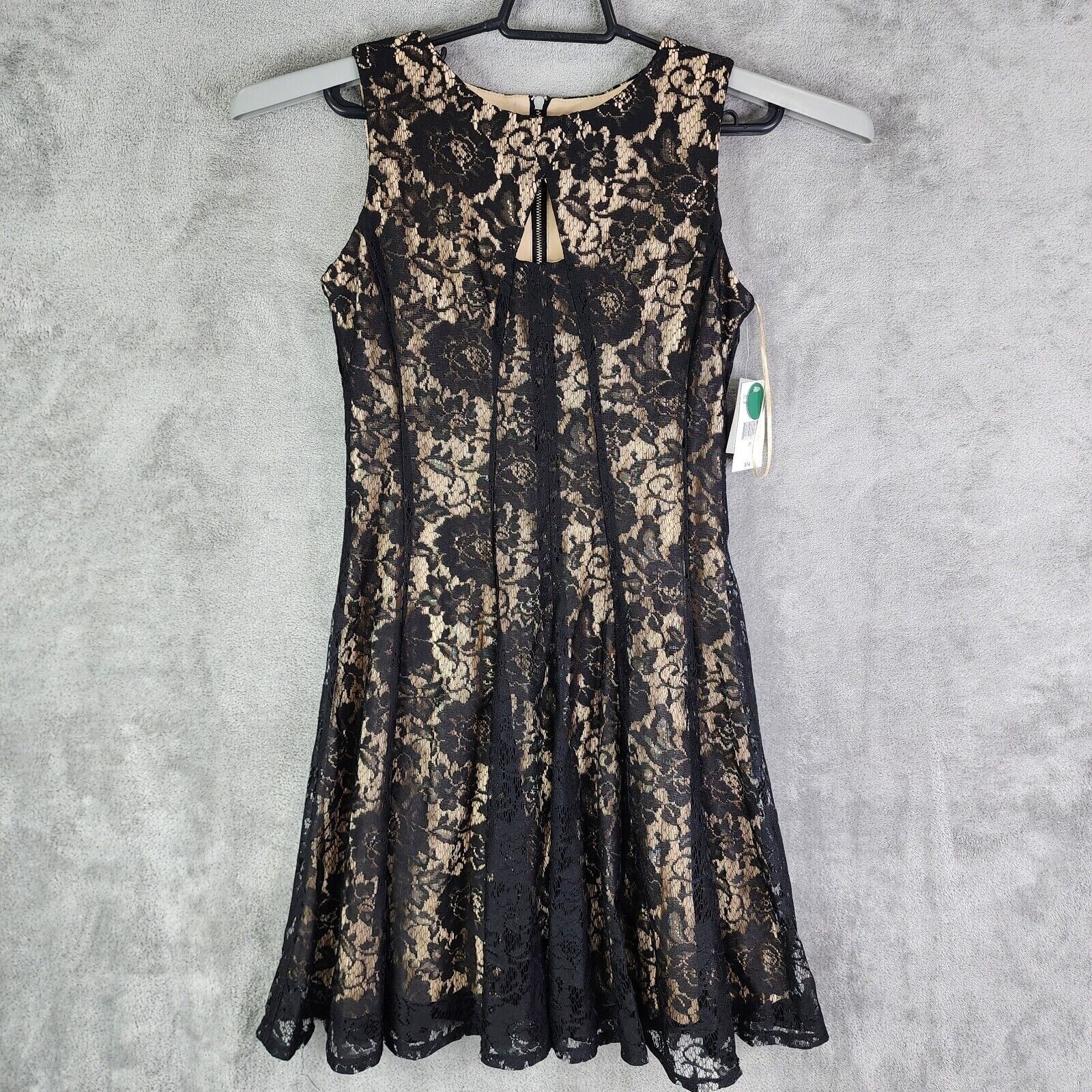Women's Petite Danny & Nicole Dress Fit &Flare Sleeveless Lace Overlay