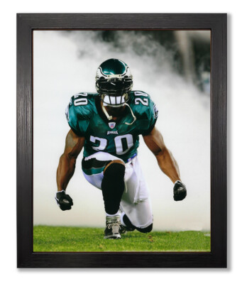The Eagles Brain Dawkins Framed 8x10 Photograph