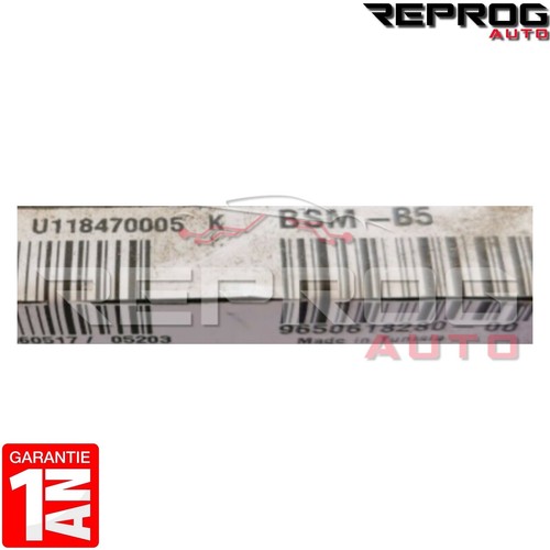 BSM B5 SIEMENS CITROEN C2 C3 C5 XSARA PEUGEOT 206 406 307 9650618280 ...