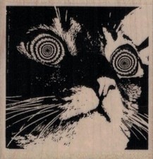 Hypnotic Cat 2 1/4 x 2 1/4" Rubber Stamp, Hypnotic Cat Stamp, Cat Stamp