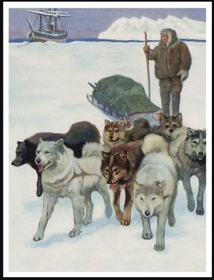 SIBERIAN HUSKY SLEDGE DOGS TEAM DOG ART PRINT POSTER