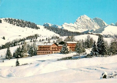 Alpe di Siusi Hotel Steger Della