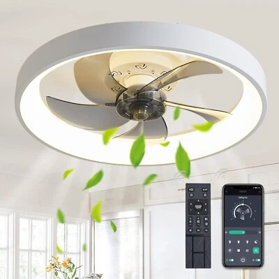 RICODO 20" Modern Fan Lights Flush Mount LED Ceiling Light kit With Remote APP Control