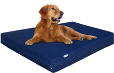 Extra Large Orthopedic Memory Foam Dog Bed with Waterproof Case  Denim Cover