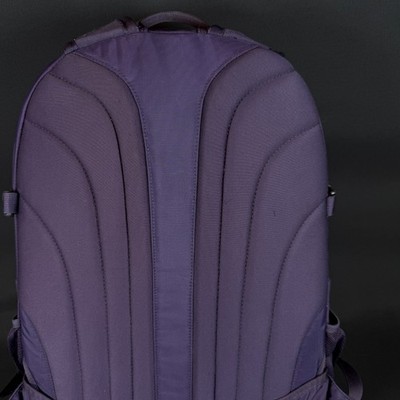 The North Face Borealis School Laptop Backpack Purple & Teal | eBay