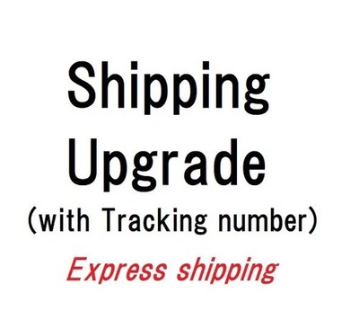 Versand Upgrade auf Express Expressversand mit Sendungsnummer