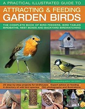 A Practical Illustrated Guide to Attracti..., Jen Green