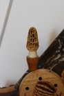 Custom Made Sycamore  Wood Turkey Pot  Call with Two Round Tip  Rod  Strikers — photo 3