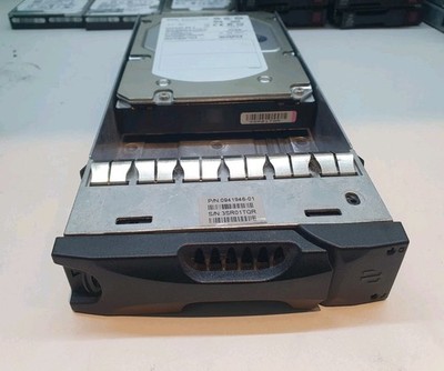 Dell EqualLogic Cheetah NS.2 ST3450802SS PN:9FR066-057 450GB 3,5'' SAS HDD + MwSt.