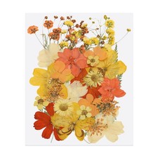 30 Pcs Dried Pressed Flower Leaves Bulk for Resin, Orange