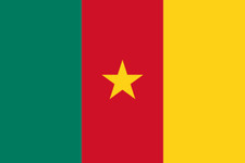 Kamerun Fahne Flagge Hissflagge Nationalfahne mit &Ouml;sen ca 150x90 cm