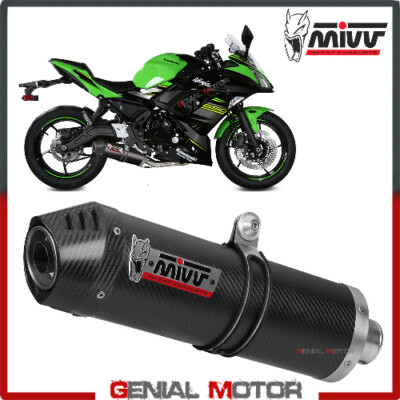 Mivv Complete Exhaust Oval Carbon Fiber Carbon Cap KAWASAKI NINJA
