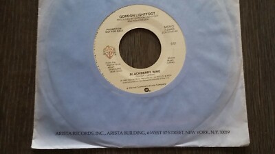 45 T GORDON LIGHTFOOT-BLACKBERRY WINE-----