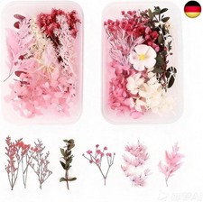 Nat&uuml;rliche Trockenblumen, 2 Boxen mit Gemischten Echten Getrockneten Blumen in