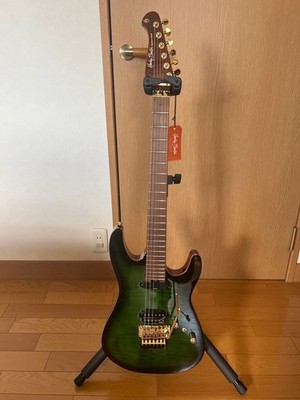 Harley Benton Fusion Max Signature Electric Guitar