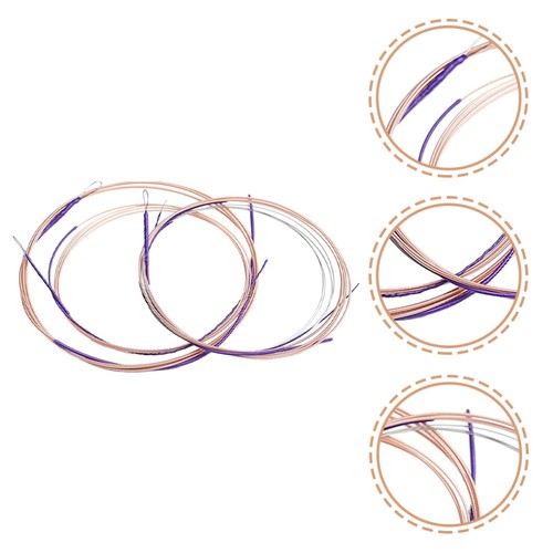 4 Pcs Pipa String Set Practice Strings Lute Musical Instrument Parts