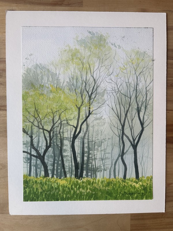 Original Watercolor Painting Misty Spring Forest Trees Signed S. Zhaodrov 2005