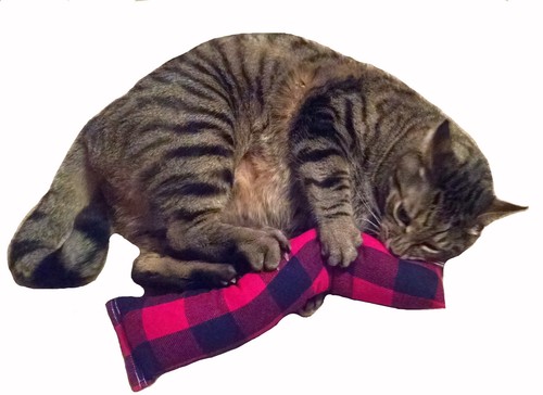 15" Catnip Cat Kicker Toy (Catnip Kicker Toy filled with 1 oz Canadian Catnip) - Picture 31 of 63