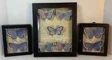 Set of 3 Paper Butterfly Shadow Box Butterflies Picture