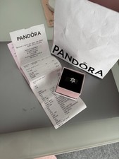 Pandora Charm BNWT