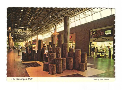 #ad #ad The Muskegon Mall in downtown Muskegon Michigan VTG postcard UNP $5.95